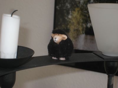 Ein schwarzes ist halt in jeder Familie zu finden. Aber es ist auch ganz friedlich