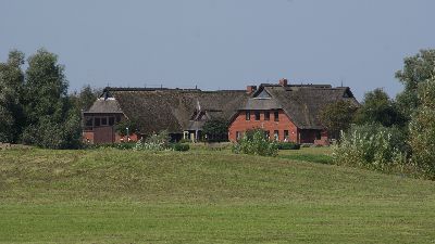 Im Reedhaus ist die Touristen-Info vorhanden. Hier finden auch viele Veranstaltungen statt.