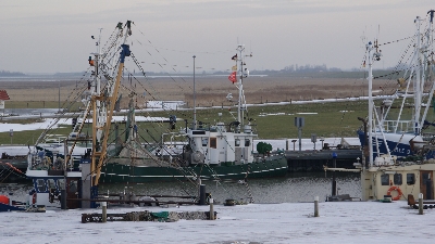 Hafen im Winter Fischkutter im Hafen
