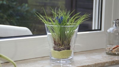 Kleinigkeiten am Rande Ein wenig Natur im Wohnzimmer